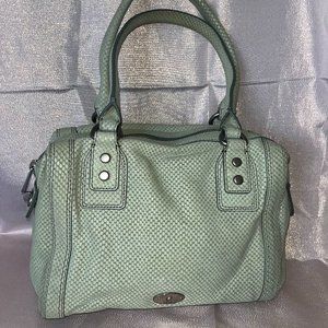 Fossil Mint Green Snakeskin Satchel